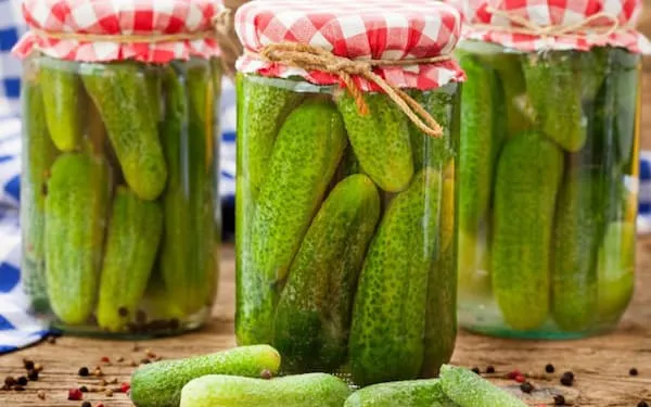 راهنمای خرید کنسرو خیارشور فلفلی + قیمت عالی