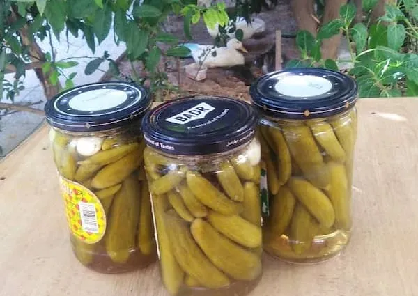 خرید انواع کنسرو خیارشور خانگی + قیمت