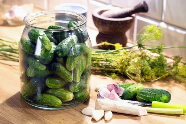 راهنمای خرید کنسرو خیارشور فلفلی + قیمت عالی