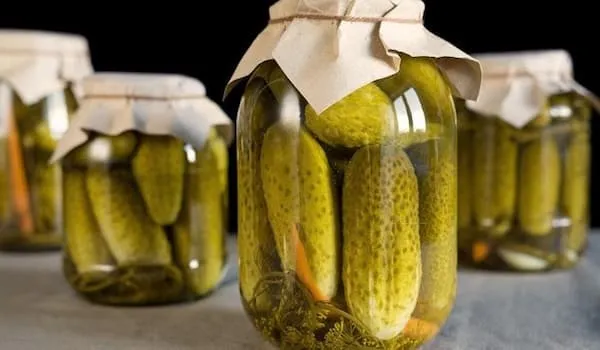 خرید انواع کنسرو خیارشور خانگی + قیمت